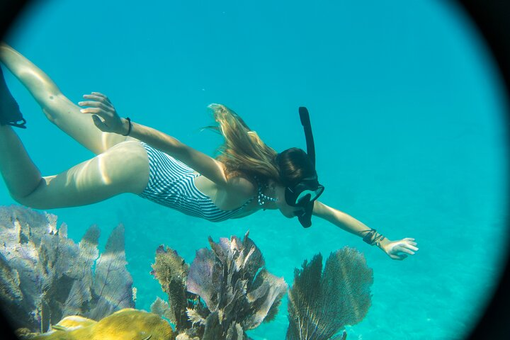 Key West: Sunset Sail + Reef Snorkel & Sandbar - Photo 1 of 12